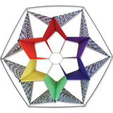 Clarke's Crystal Box Kite - Rainbow Op Art