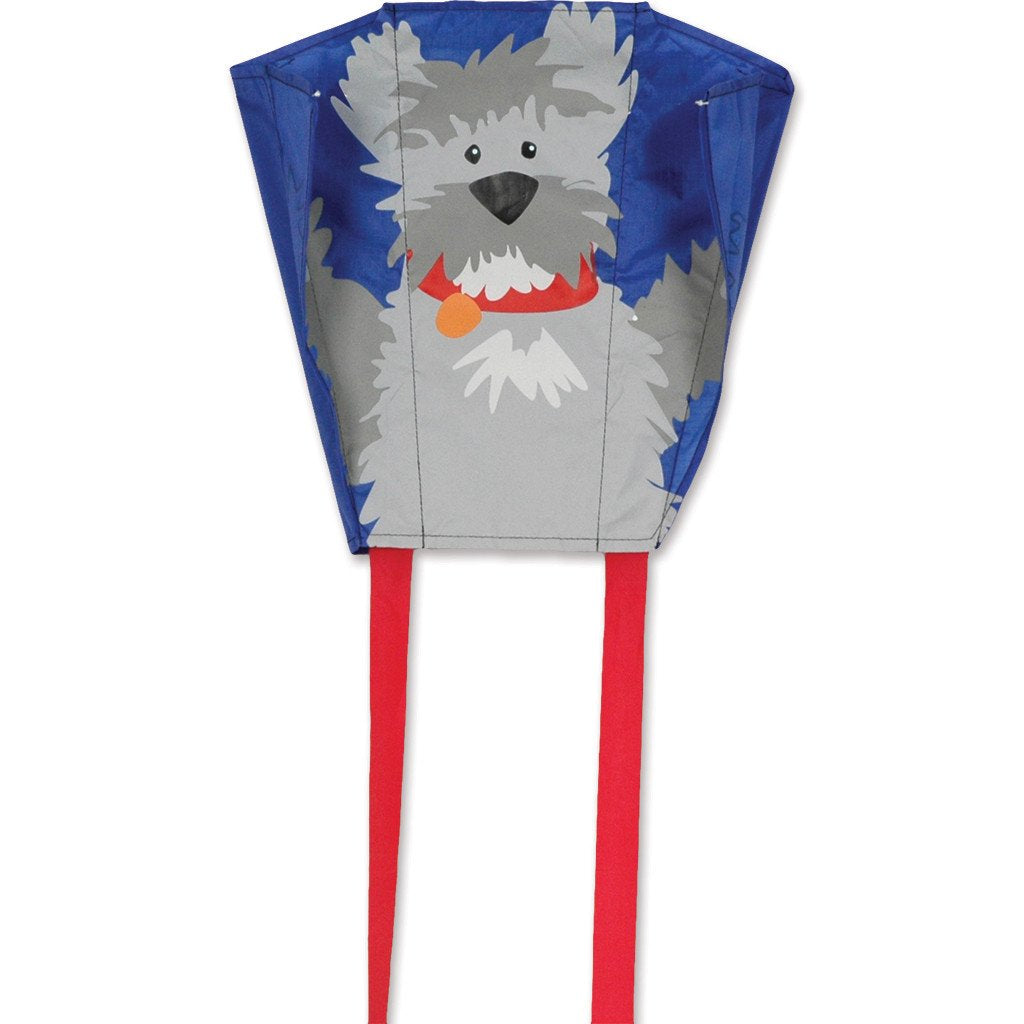 Mini Back Pack Sled Kites - Pup (Set of Six Sleds)