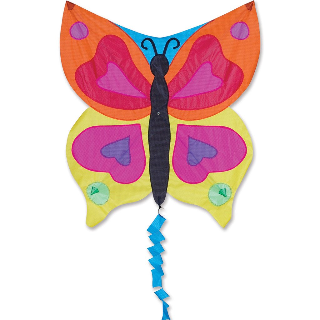 Fun Flyer Kite - Rainbow Butterfly