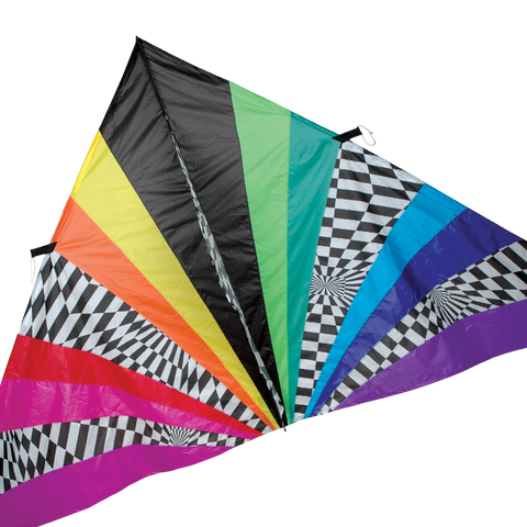 11 ft. Delta Kite - Rainbow Opt-Art
