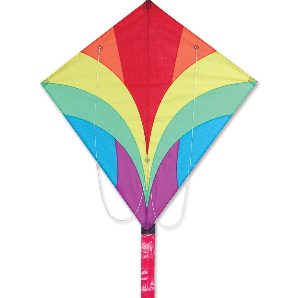 Ace Sport Kite - Rainbow