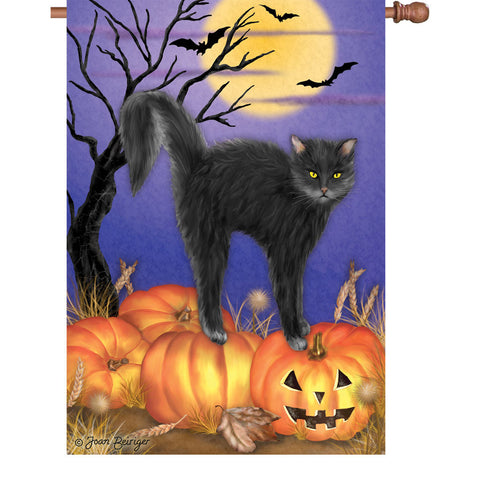 28 in. Halloween House Flag - Jack O'Lantern Pumpkin Kitty Cat