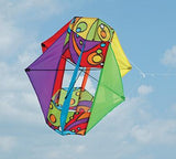 Six Wing Box Kite - Rainbow Orbit