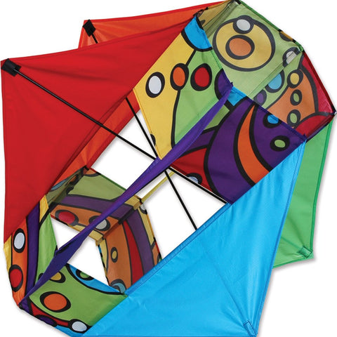Six Wing Box Kite - Rainbow Orbit