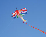 Rainbow Bi-Plane Kite