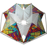 Clarke's Crystal Box Kite - Rainbow Orbit