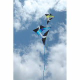 Borealis Diamond Kite - Cool Tronic Gradient