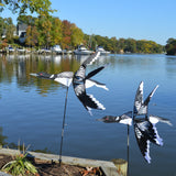 40 in. Flying Loon Spinner