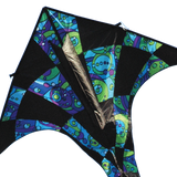 T-Delta Kite - Cool Orbit