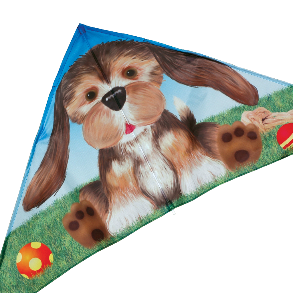 56 in. Delta Kite - Shaggy