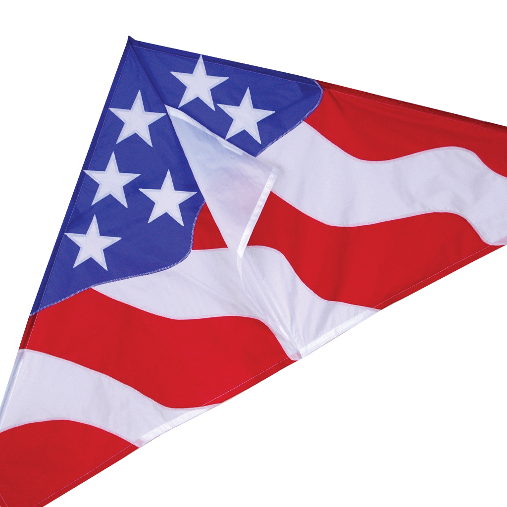 56 in. Delta Kite - Patriotic