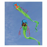 18 ft. Dragon Kite - Kitty