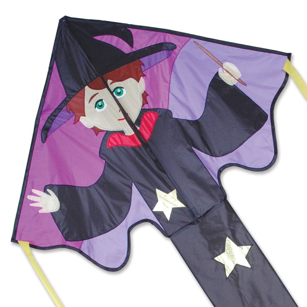 Large Easy Flyer Kite - Ned Wizard