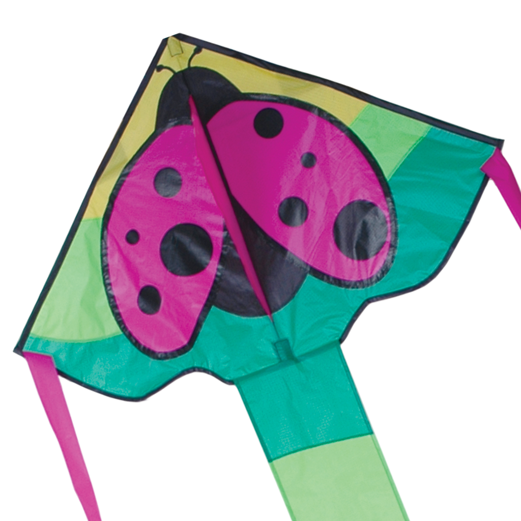 Regular Easy Flyer Kite - Ladybug