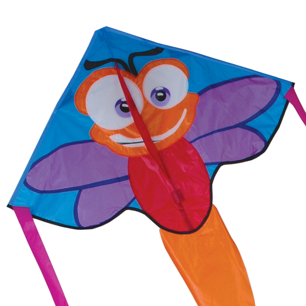 Regular Easy Flyer Kite - Zippy Dragon