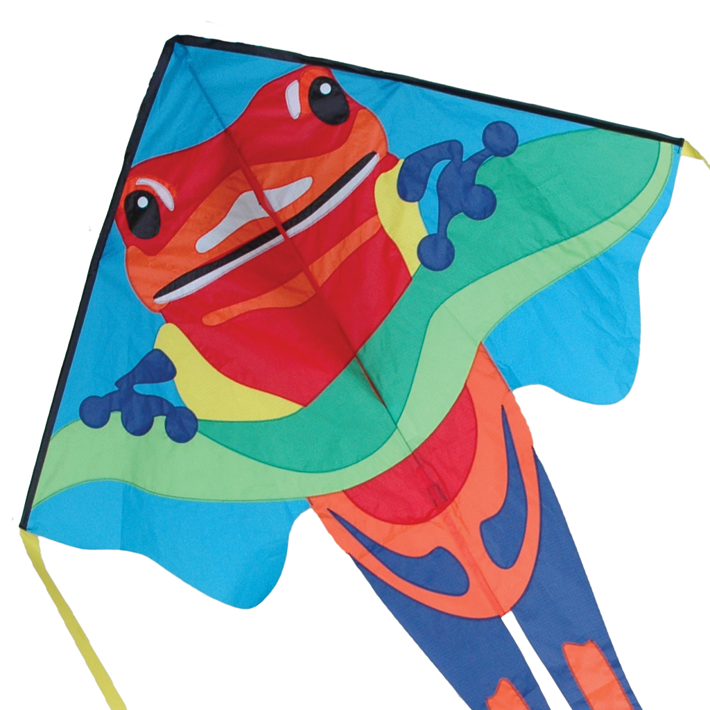 Large Easy Flyer Kite - Poison Dart