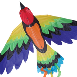 Rainbow Bird Kite