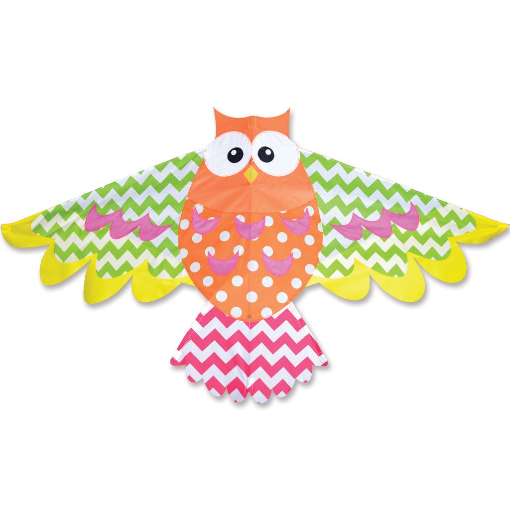 Rainbow Owl Kite