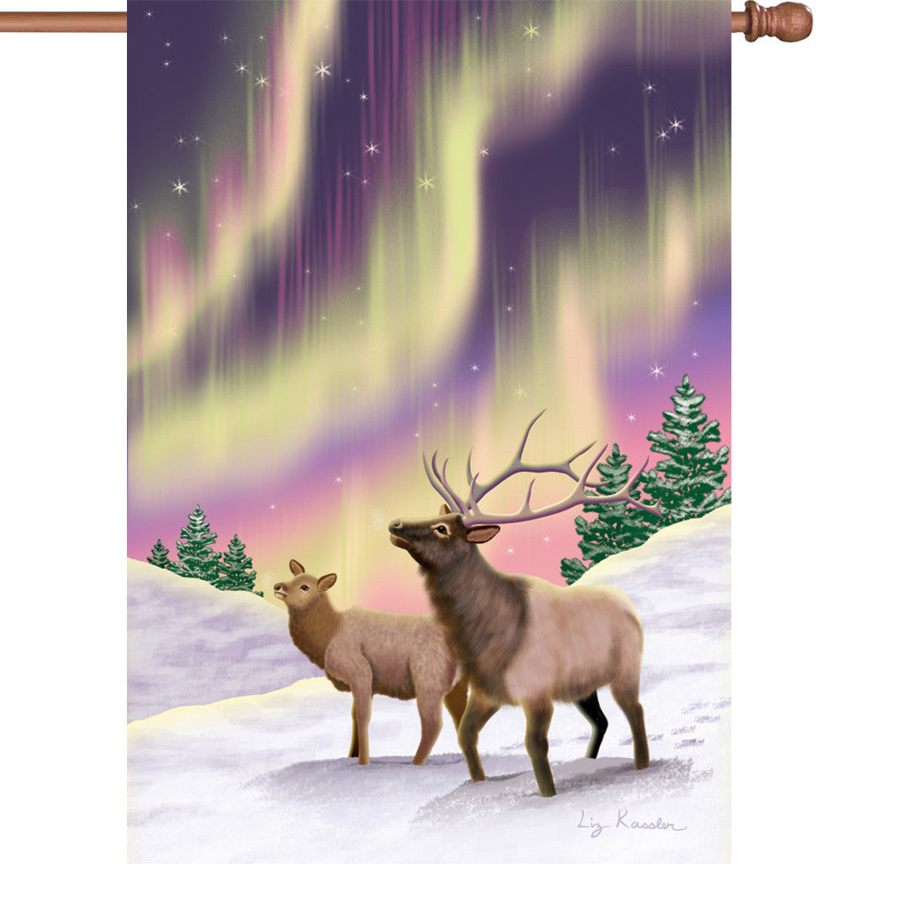 28 in. Christmas House Flag - Northern Lights