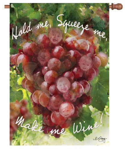 28 in. Vineyard House Flag - Make Me Wine