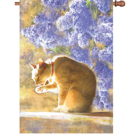 28 in. Cat House Flag - Bathing Tabby