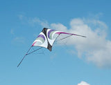 Vision Sport Kite - Raspberry Purple