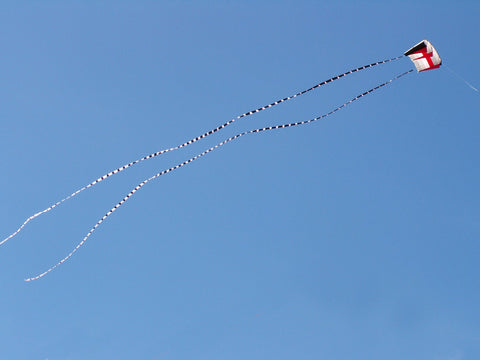 5 in. x 100 ft. Transition Tail - Black/White