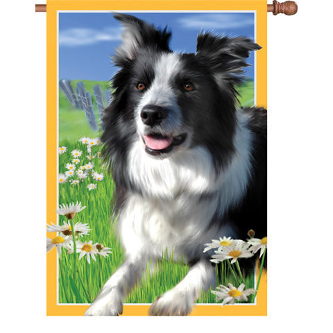 28 in. Border Collie Dog House Flag - Lacey