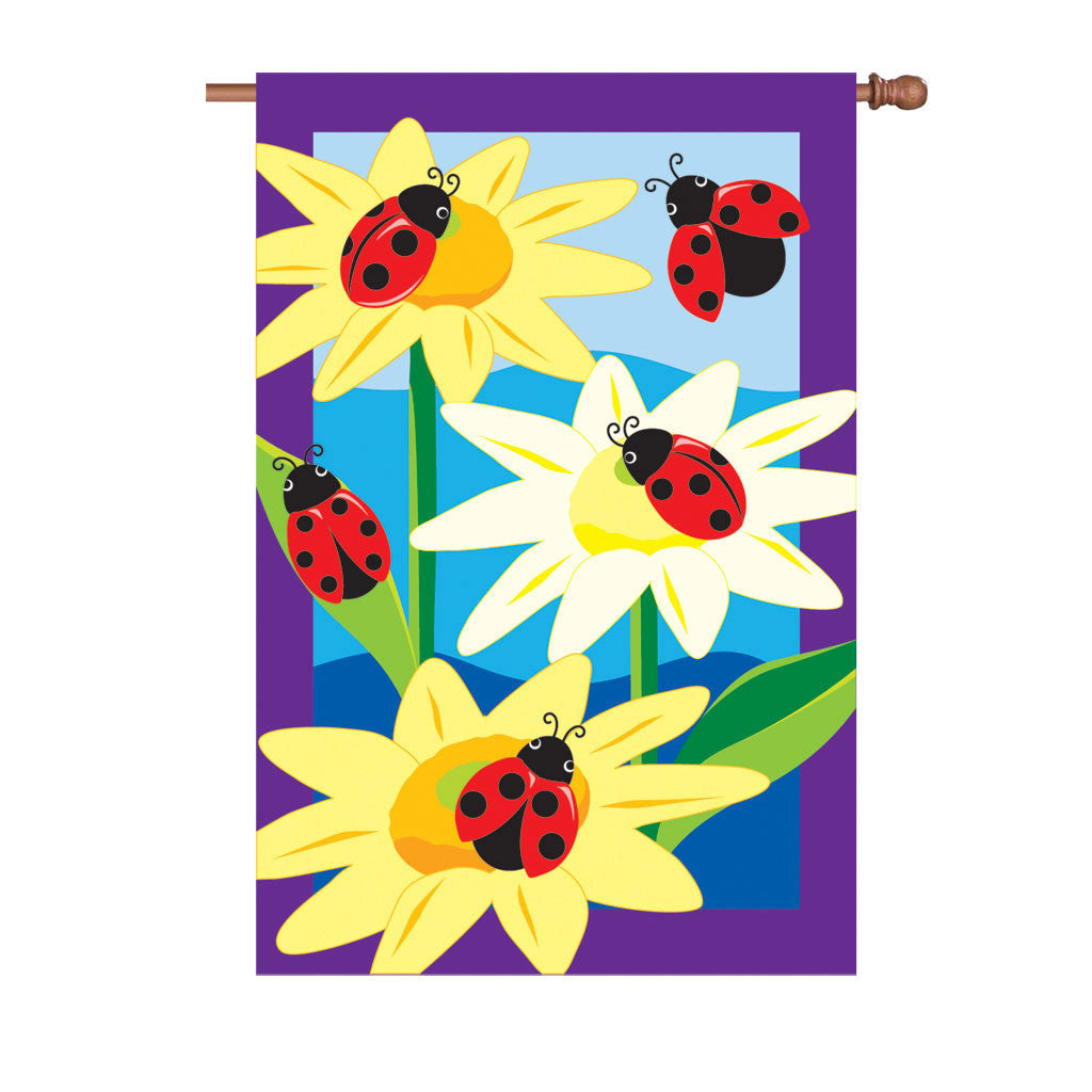 36 in. Ladybug Applique Flag - Doodle Ladybugs